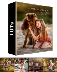 Marion Flemming - Moody Tones Presets